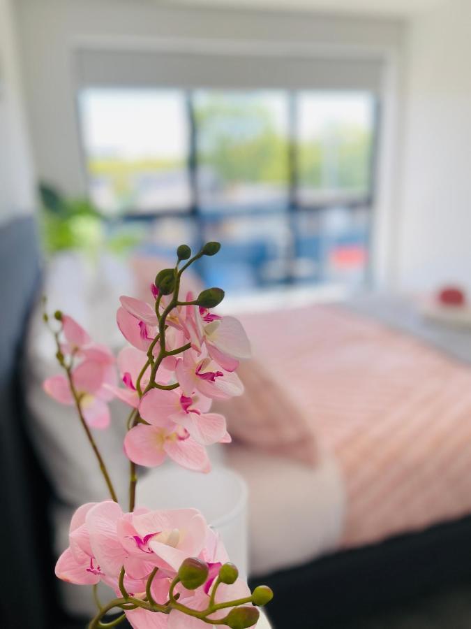 Walking Distance To Riverside Market & Hospital 基督城 外观 照片
